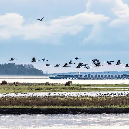 An De - Im Ostseeheilbad Mit Balkon Апартаменты *